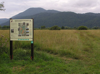 Nočni izlet za ljubitelje narave in ptic