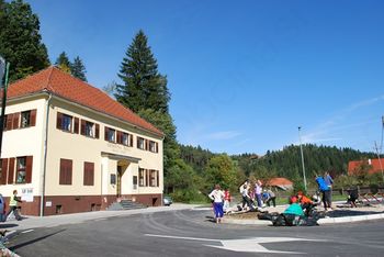 Otok, zasejan s cvetjem in grmičevjem, pri Podružnici Sele-Vrhe, izziv za učence in učitelje