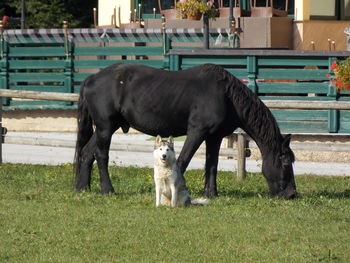 Izlet Društva konjerejcev in konjenikov Sevnica
