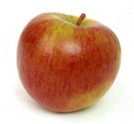 Shema šolskega sadja na OŠ Frankolovo