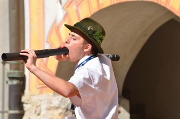 Visoka mesta za oponašalce jelenjega ruka