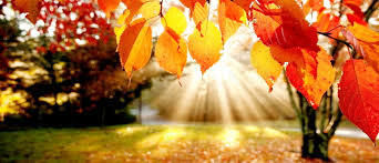 UVODNI SEMINAR ZA NOVE PROSTOVOLJCE