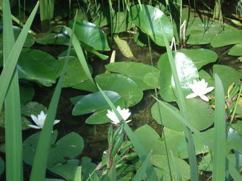 Pesmi za boljši svet