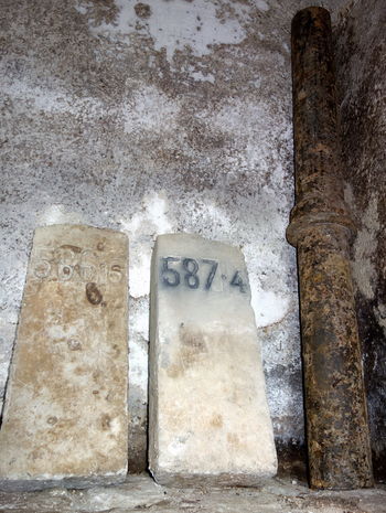 Rešena borovniška dediščina