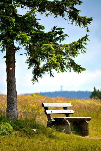 Pohod po poti razgledov