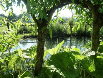 Stanje kmetijstva v občini