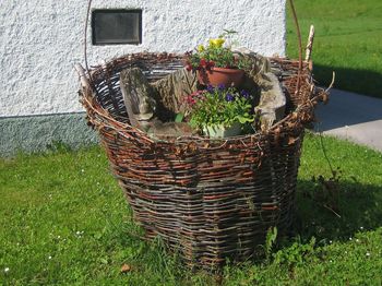 Iz Lisca in okolice Dobrniča