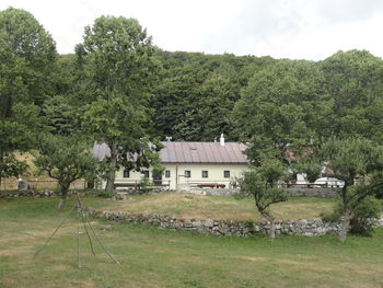 Planinski tabor na Čavnu