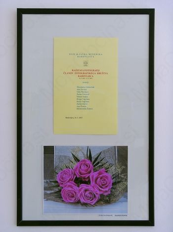 Fotografska razstava ČLANOV Fotografskega društva Radovljica