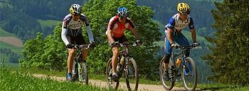 Kolesarske povezave na relaciji Celje–Vojnik–Dobrna