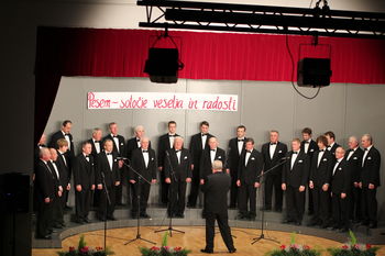 Ubrani glasovi na koncertu Pesem, sotočje veselja in radosti  