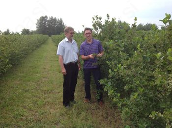 Indijanski nasvet vzel zares in zdaj piše zgodbo o aroniji