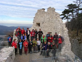 Zimzeleni od Črnega kala do Podpeči po Kraškem  robu