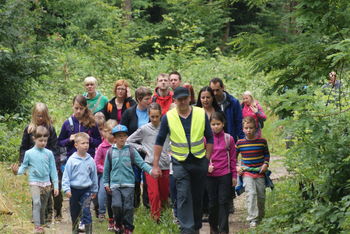 Krtkov pohod na Krtini