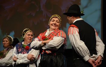 Med kulturna društva razdeljenih 80 tisočakov Med kulturna društva razdeljenih 80 tisočakov