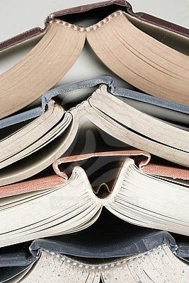 LITERARNA SKUPINA UTRIP NA MITNICI