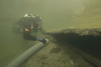 Iz Ljubljanice bodo potegnili deblak