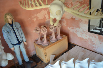 Poslednji muzej sodobne umetnosti v vasi Logje