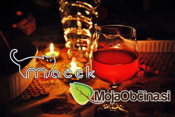 Ali želite brezplačno na gala večerjo? Ali želite brezplačno na gala večerjo?