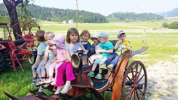 Novice iz mačjega dola