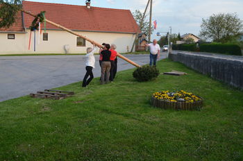 V Rošnji so majsko drevo postavile žene in dekleta  