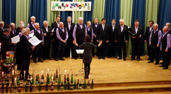 Veliki zamudnik Martin