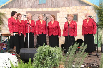 Taščice posnele nov CD