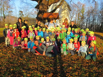 Mavrični planinčki