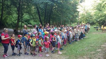 Zmaga Gumijastih medvedov