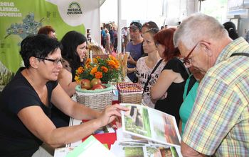 VRANSKO NA 49. MOS-u