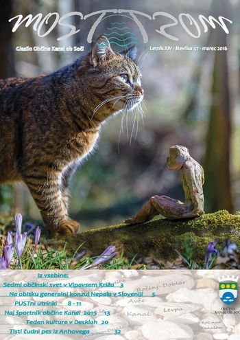 Nova številka glasila MOST