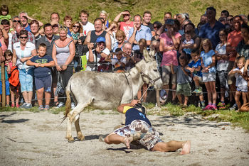 14. GRAN PRIX v Levpi 