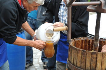 Dan ustvarjalnosti v Slovenj Gradcu