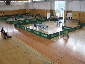 Aktivni igralci pingponka