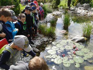 Naravoslovni dan prvošolcev