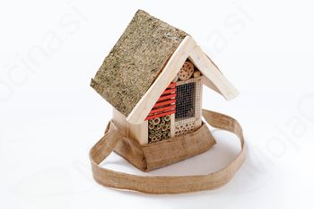 Pohorska tržnica na Rogli