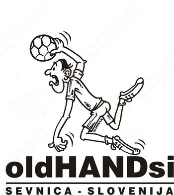 Posavski rokometni veterani najboljši v Sevnici 2014 Posavski rokometni veterani najboljši v Sevnici 2014