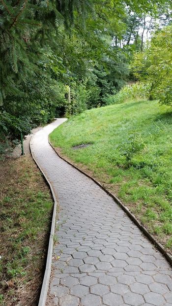 Sanirali smo šolske poti