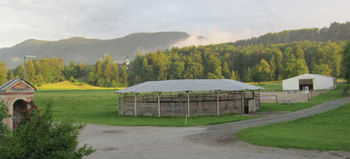 Vpisujemo  v tečaj jahanja