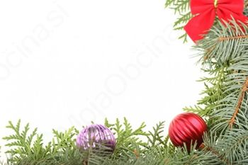 Miklavžev sejem v Polhograjski graščini