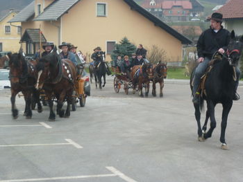 Blagoslov konj v Šentjanžu