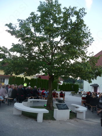 Lipa-simbol svobode in neuklonljive volje