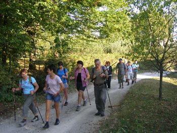 Rekreativni pohod na Plešivico