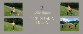 Nordijska hoja
