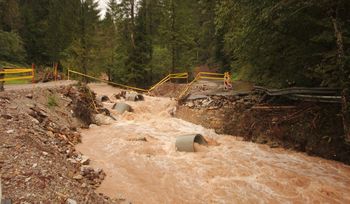 Narava znova izplaknila Petačev graben