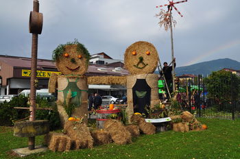 Mavrični piknik pri stari trti