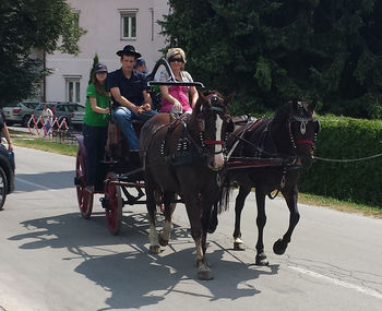 Poletje pri gasilcih PGD Vojnik Poletje pri gasilcih PGD Vojnik
