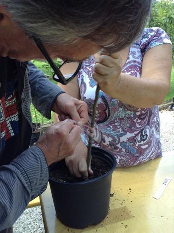 Na Trojanah že zaživela nova otroška igrala
