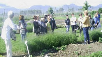 MLAJŠA IN STAREJŠA GENERACIJA Z ROKO V ROKI