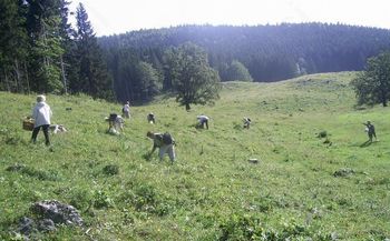 DRUŠTVO UNIVERZA ZA TRETJE ŽIVLJENJSKO OBDOBJE VRANSKO